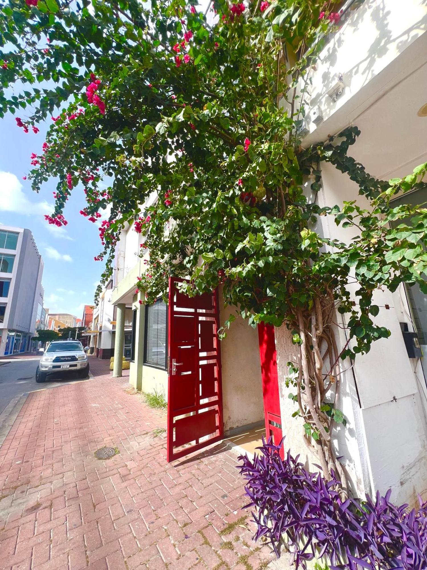 Dushi Apartments วิลเลมสตัด ภายนอก รูปภาพ